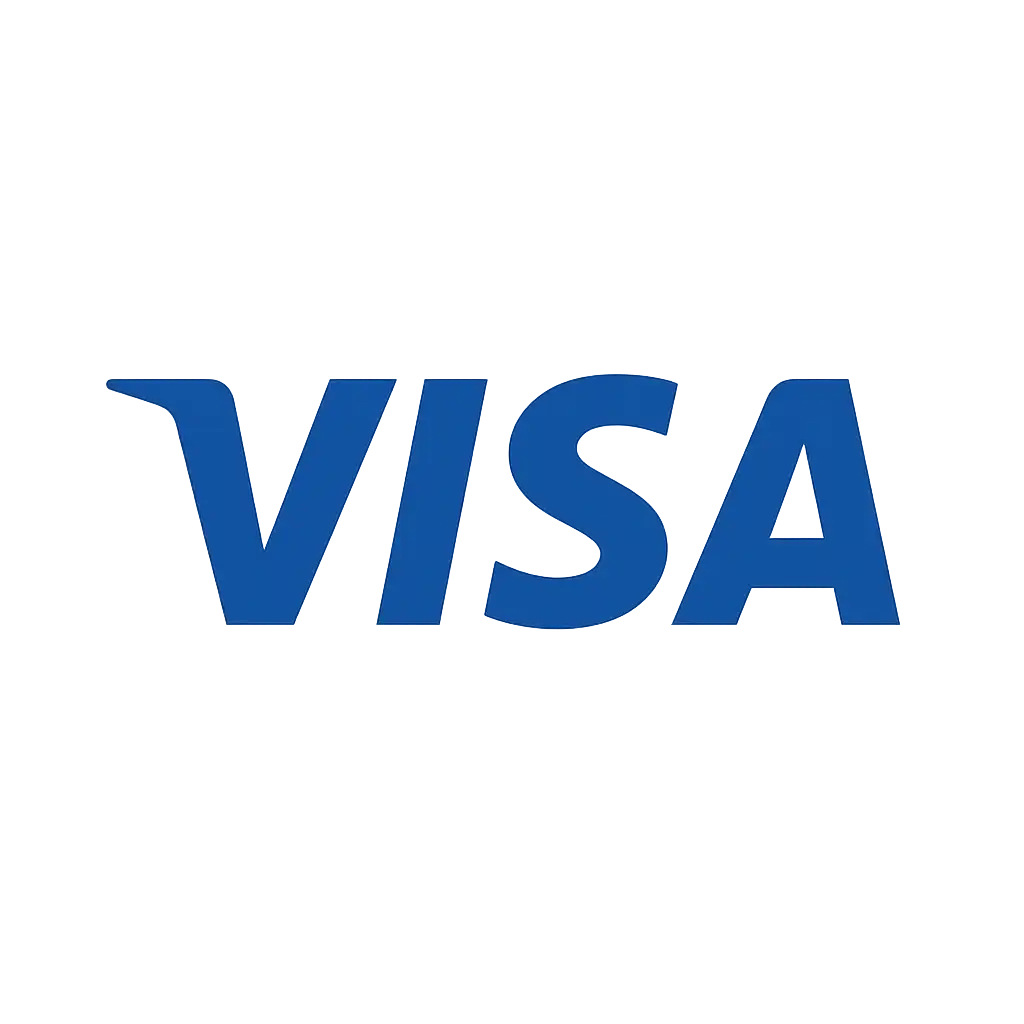 Visa card icon